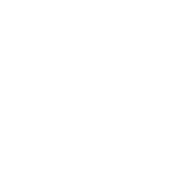 Platynos logo